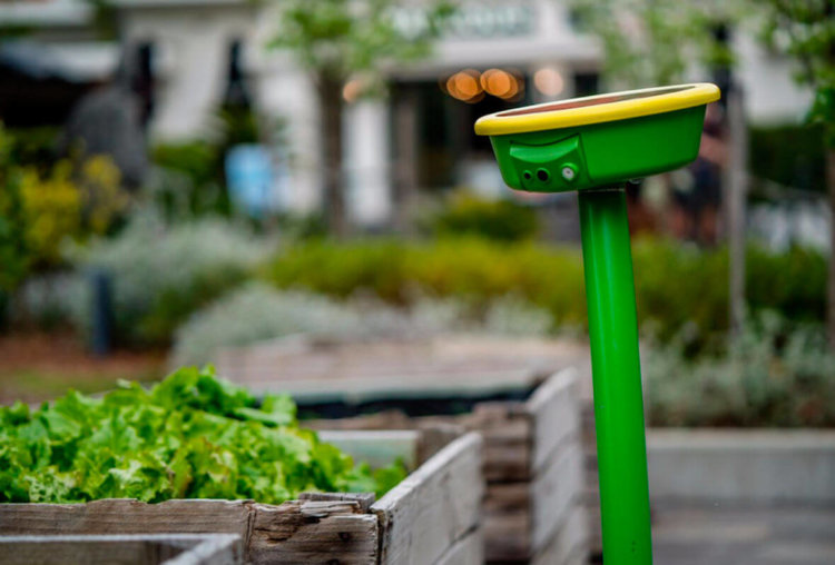 Робот-лейка GardenSpace на солнечных батареях позаботится о саде. Фото.