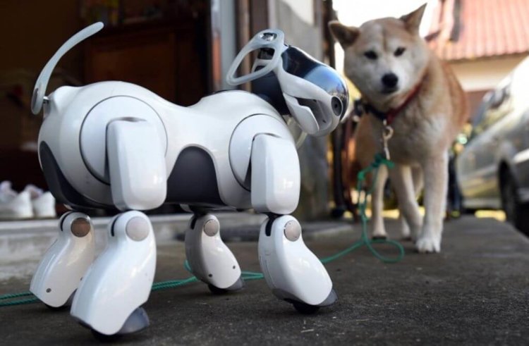 Sony выпустит обновлённую версию легендарного робота Aibo. Фото.