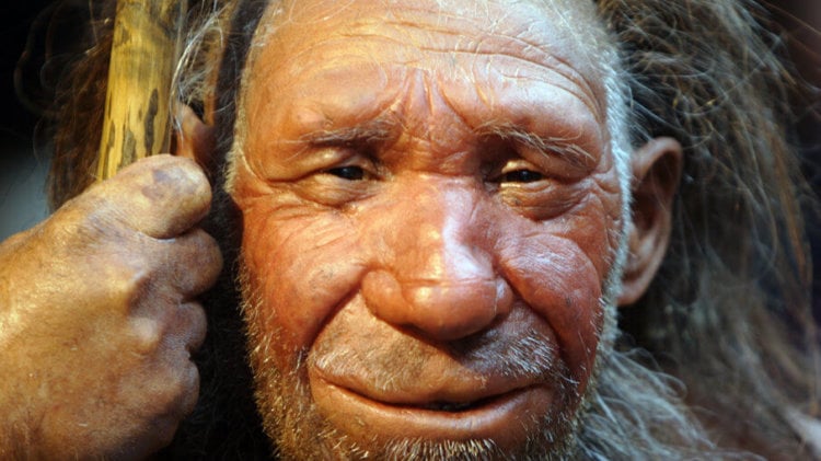 Гены неандертальцев связали с плохим сном и ожирением. Фото.