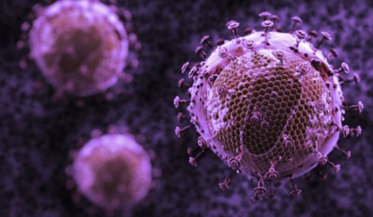 Российские ученые синтезировали молекулу, предотвращающую заражение ВИЧ. Фото.