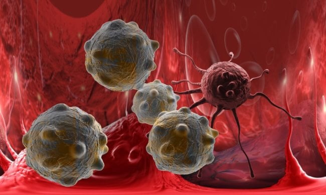 В США тестируют препарат, который заставляет раковые клетки самоуничтожаться Cancer-650x390