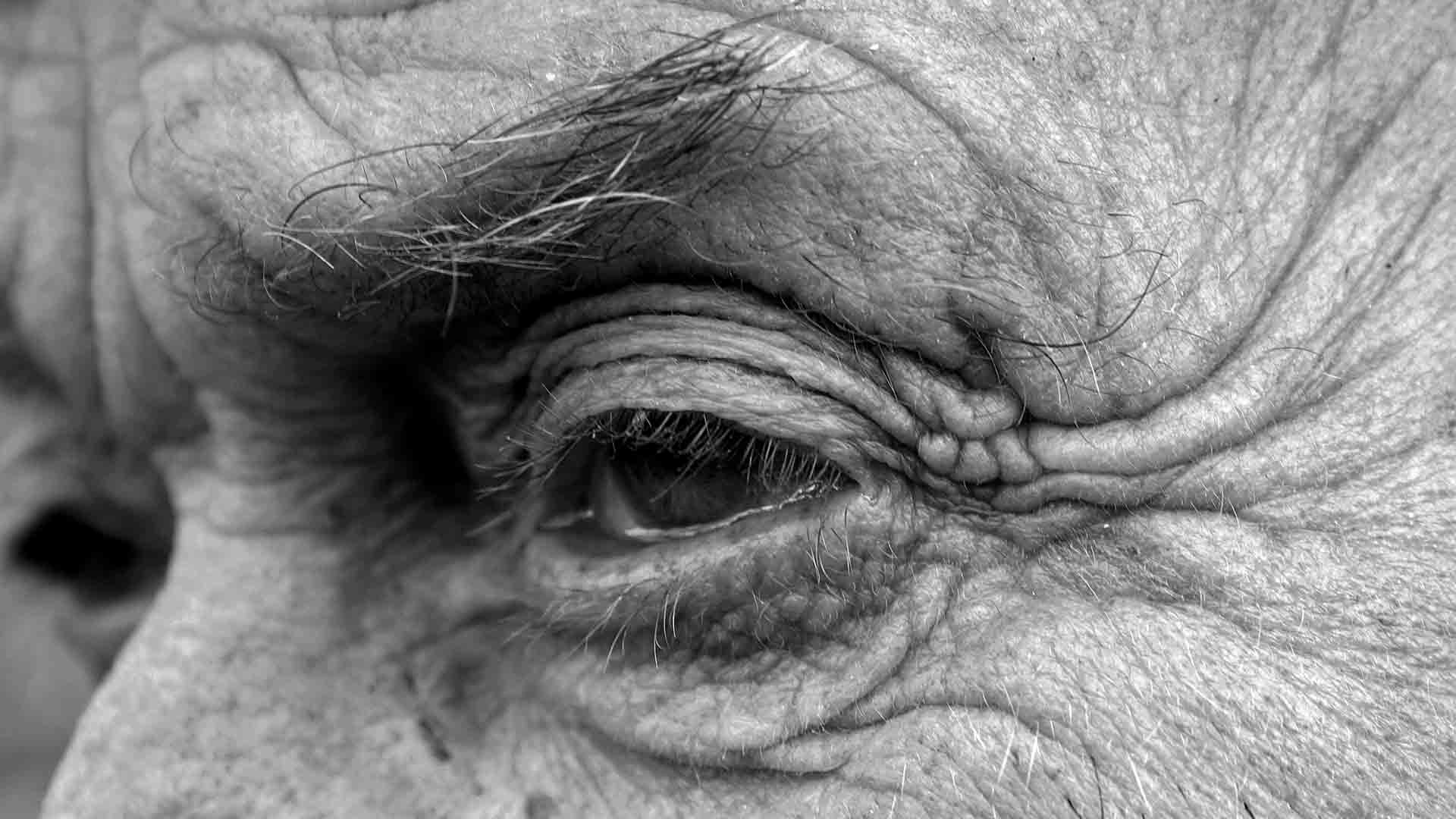 Когда мы сможем жить двести, триста, четыреста лет и больше? Фото.