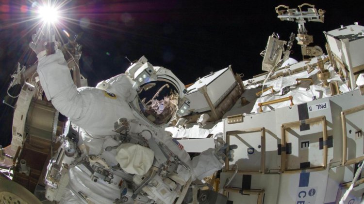 Можно ли создать идеального космонавта при помощи генной инженерии? Фото.