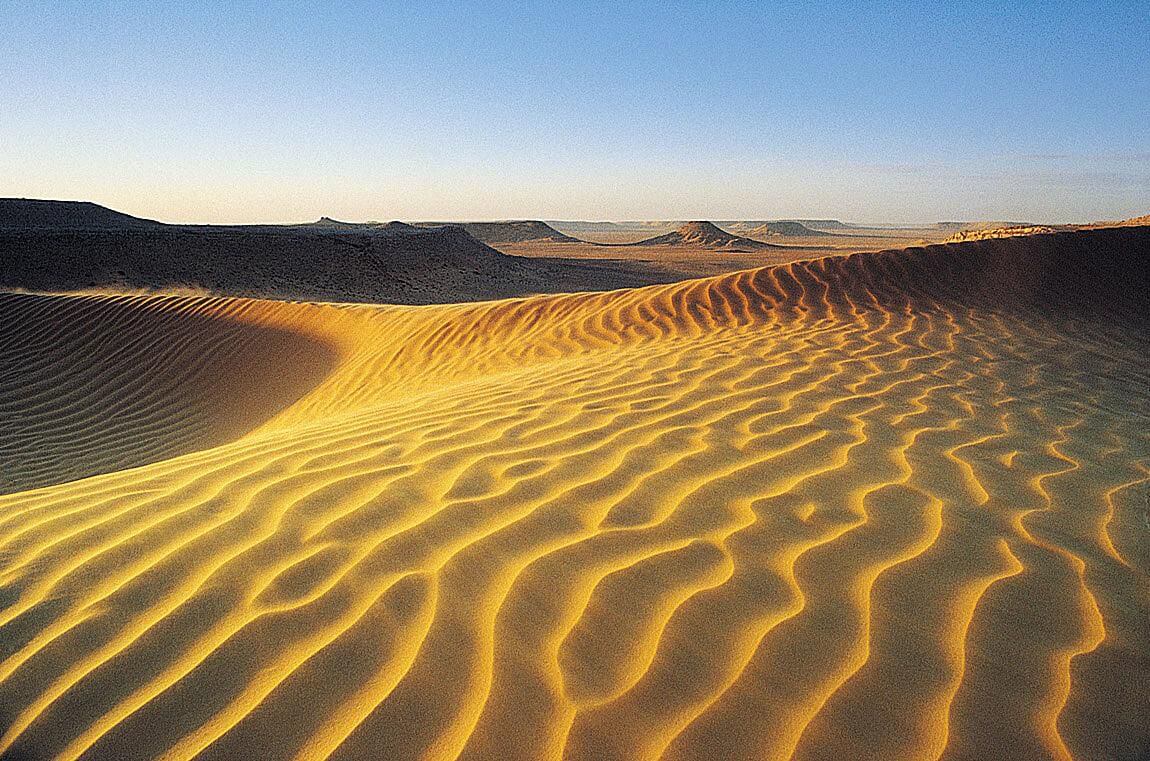 Можно ли превратить пустыню Сахару в гигантскую солнечную батарею? 