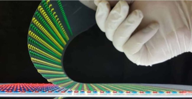 Электрический угорь вдохновил учёных на создание биологического источника энергии. Фото.