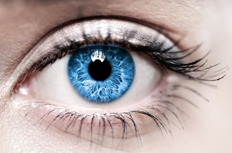 Разработан клей для глаз, который защитит от слепоты. Фото.