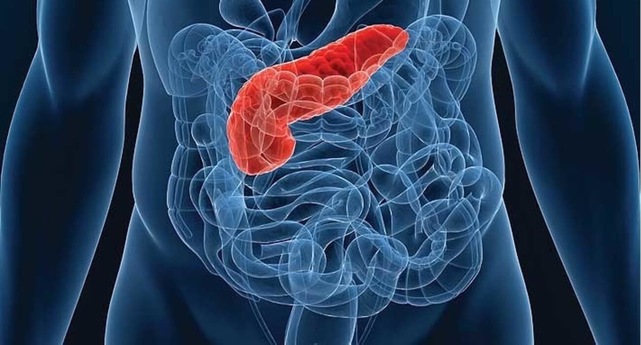 Представлен биопринтер, печатающий клетки поджелудочной железы для диабетиков. Фото.