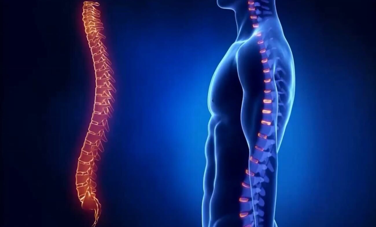 Робот поможет избежать врачебных ошибок при операциях на позвоночнике. Фото.