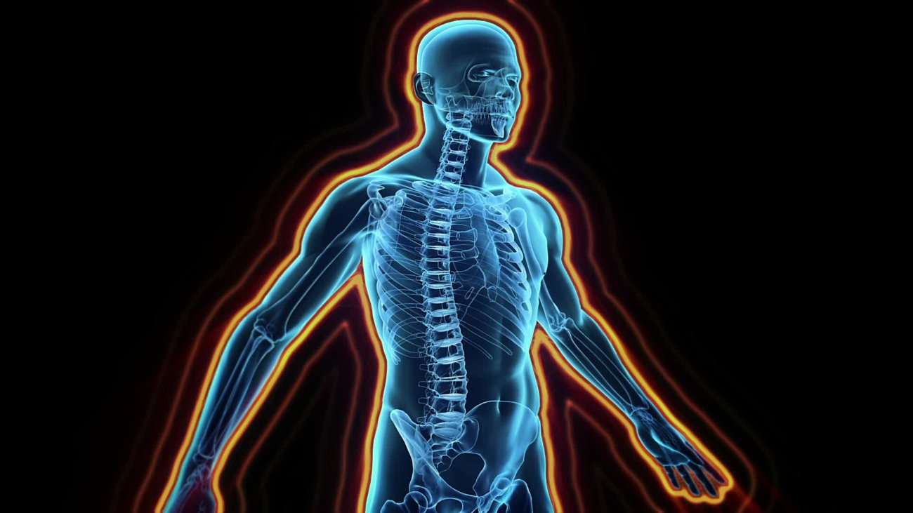 Microsoft создаст «карту» иммунной системы человека. Фото.