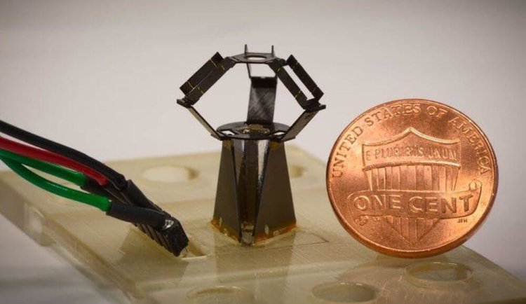В Гарварде создали самого быстрого в мире миниатюрного робота. Фото.