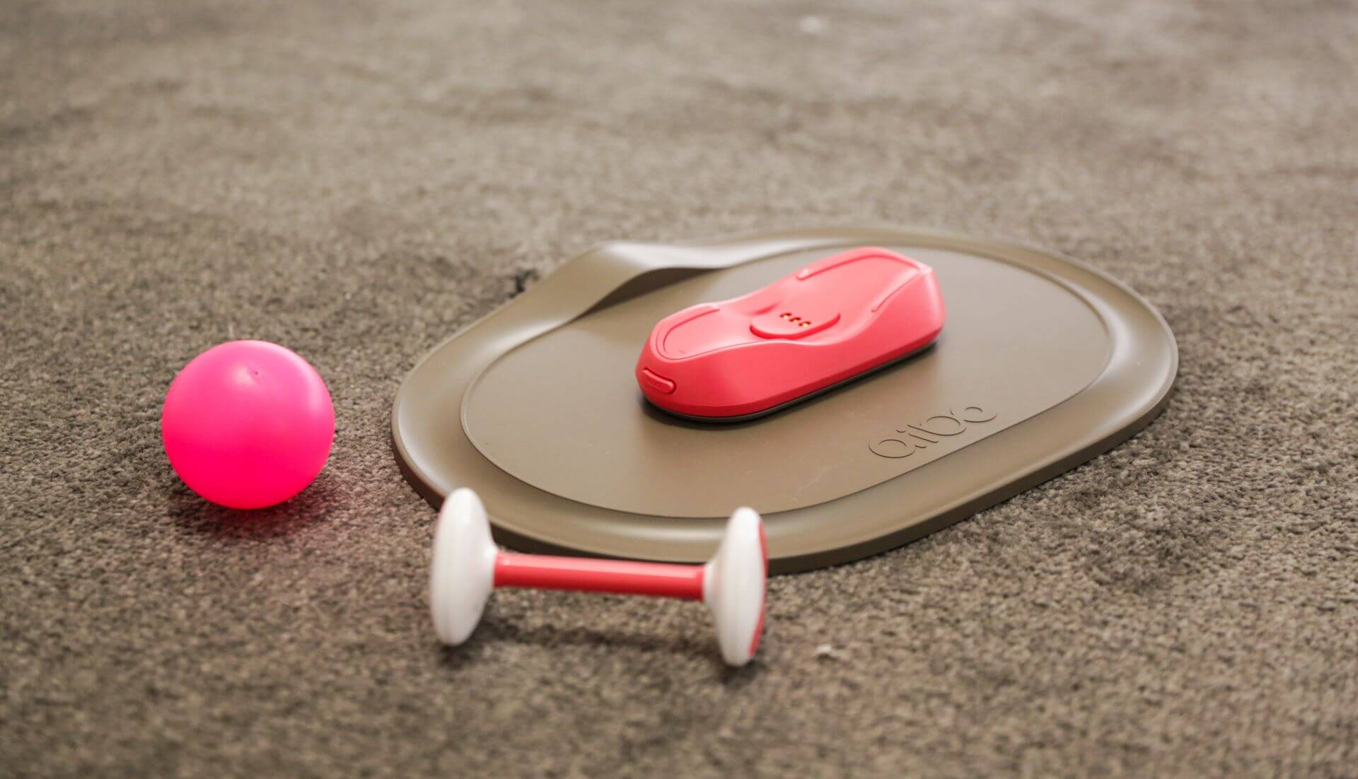 #CES 2018 | Посетители CES 2018 пришли в восторг от новой версии робота Aibo.. Фото.