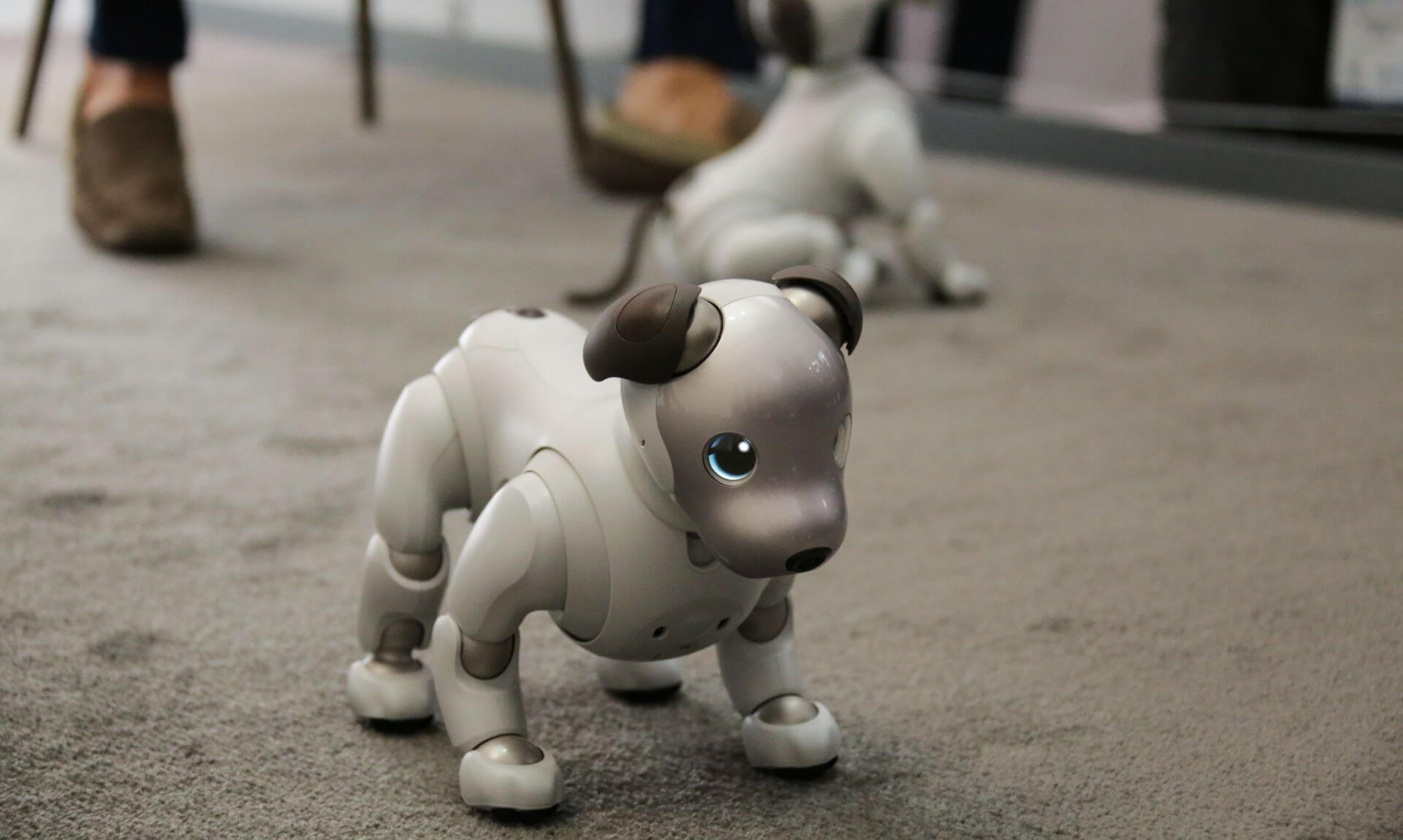 #CES 2018 | Посетители CES 2018 пришли в восторг от новой версии робота Aibo.. Фото.