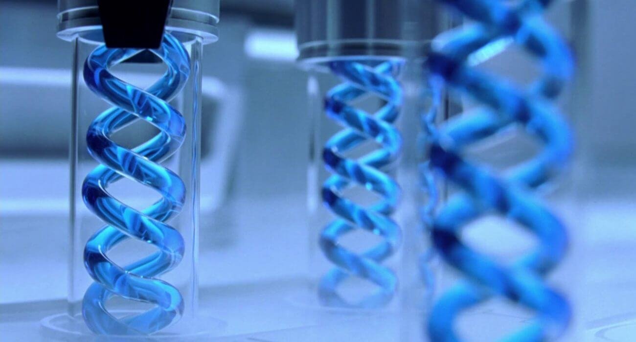 Канадские ученые создали синтетический вирус оспы.. Фото.