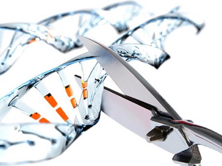 Ученые нашли необычное применение редактору генома CRISPR. Фото.