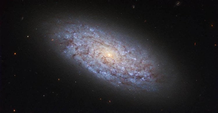 Может ли темная материя породить «темную жизнь»? Богатая «теневая Вселенная»? Фото.