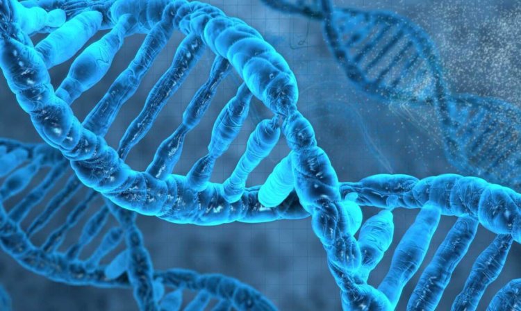 Учёные придумали новый способ хранения данных внутри ДНК. Фото.