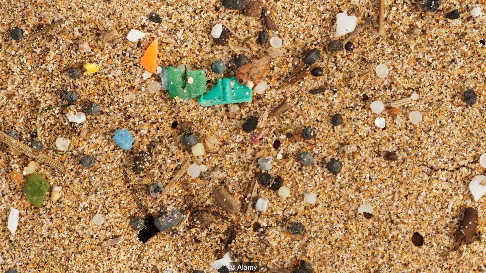 Каким местом на Земле можно отметить начало антропоцена? Фото.