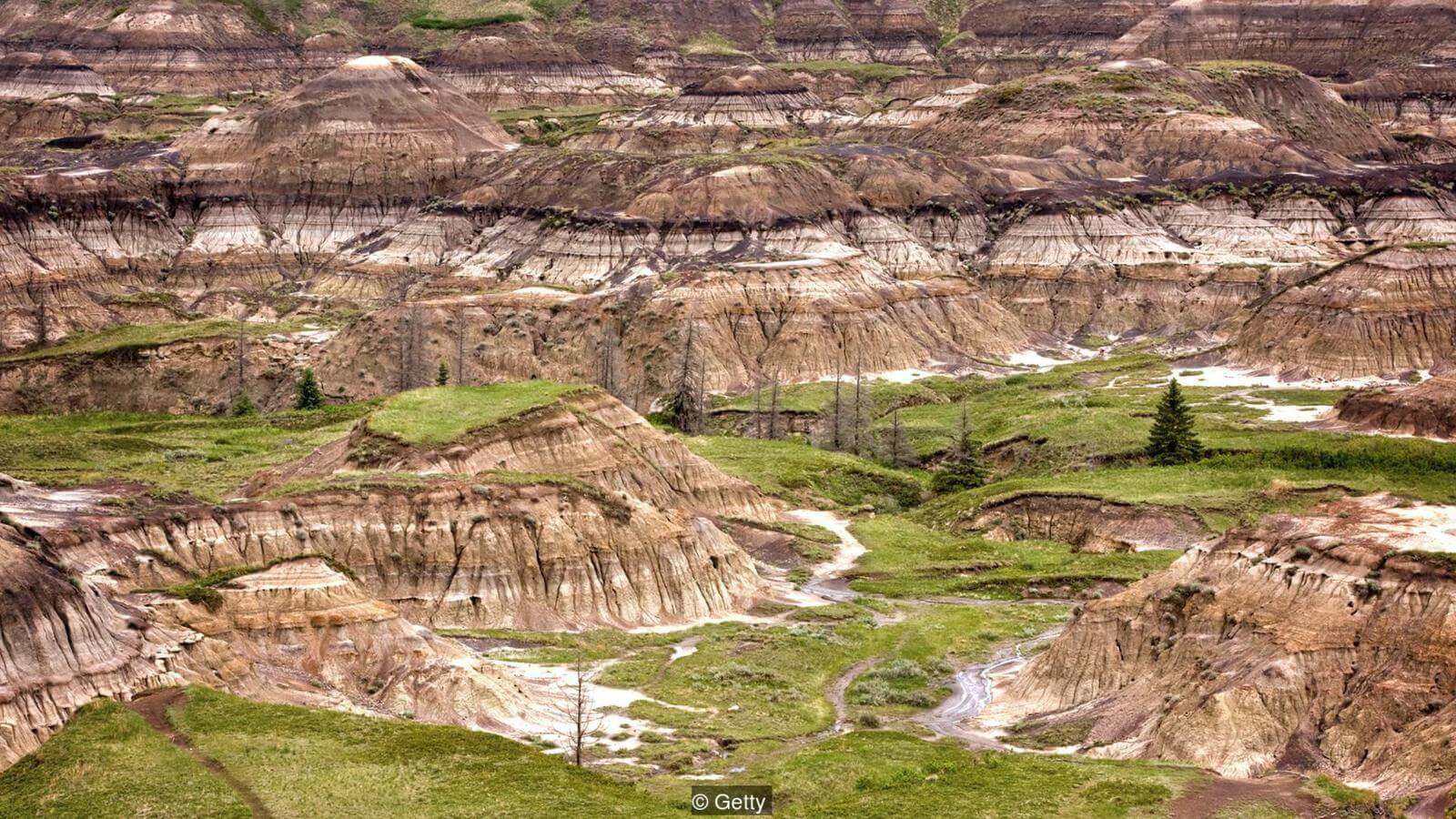 Закопаться следует как можно глубже. Фото.
