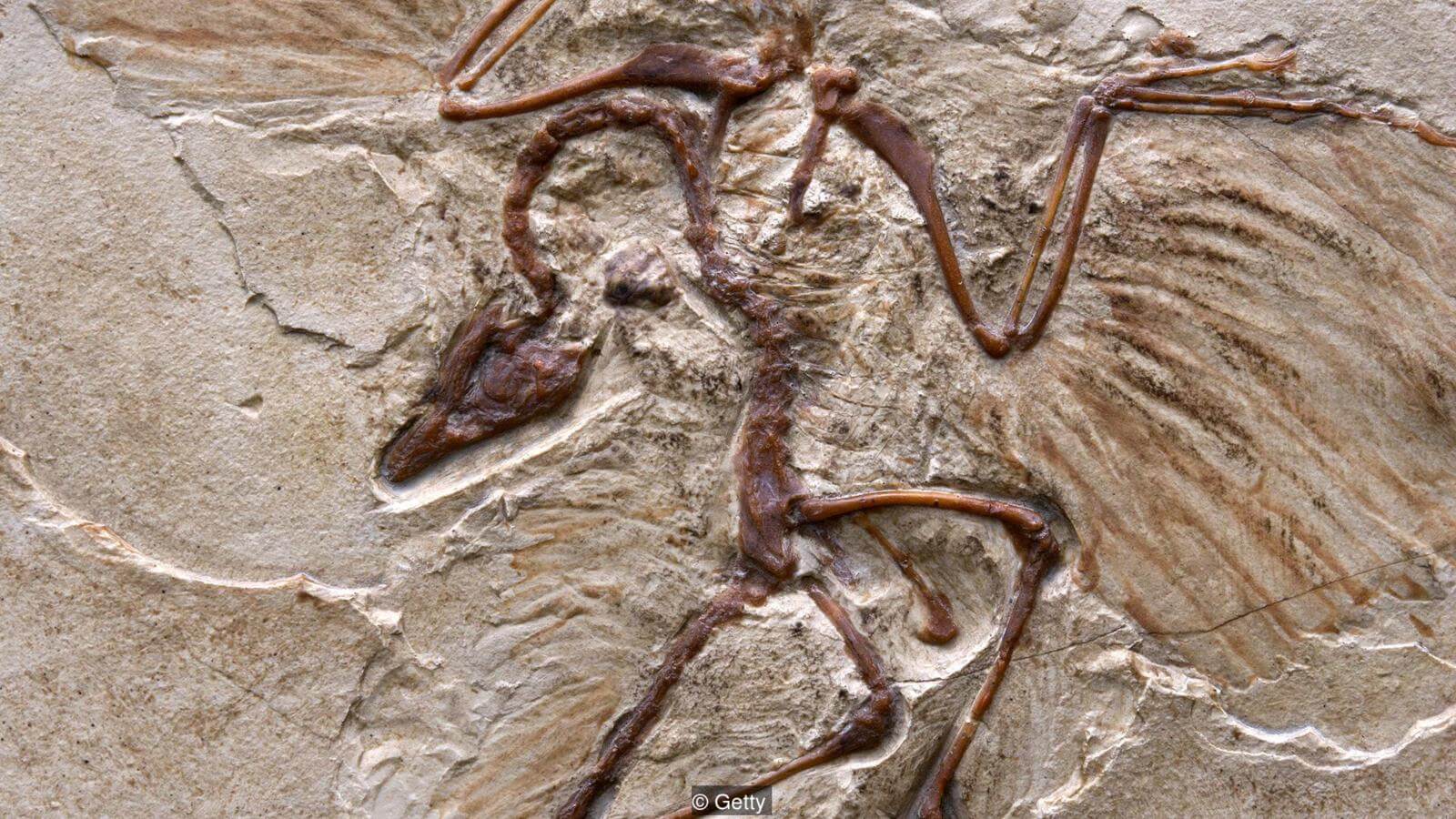 Большинство специалистов сходятся во мнении, что лучше погрузиться в песок, грязь и осадочные слои, а для этого лучше всего подойдут озера, поймы и реки, либо дно моря. Фото.