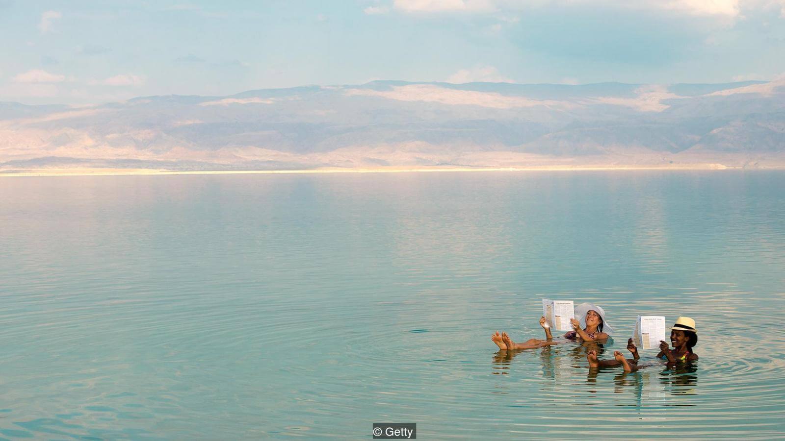 Янтарь способен надолго сохранить останки. Фото.