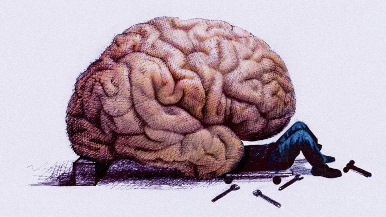 Новый алгоритм приблизил нас к полной симуляции мозга. Работа с мозгом — дело не простое. Фото.