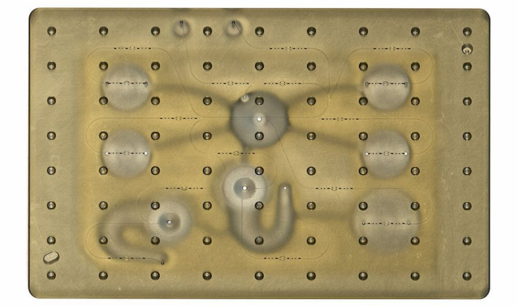 «Тело на чипе» — новая разработка MIT для испытаний медикаментов. Фото.