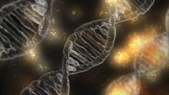 Биологи смогли включить «починку ДНК» в опухолевых клетках. Фото.