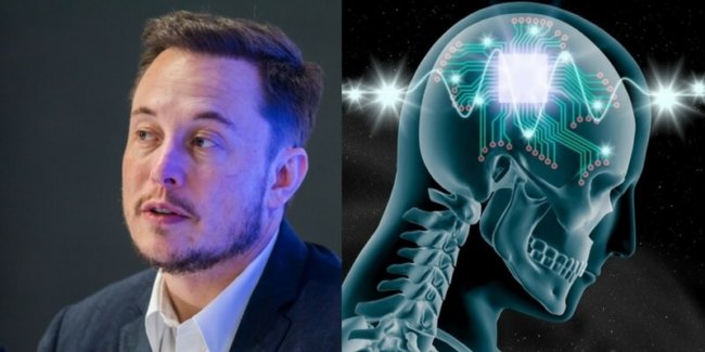 Neuralink Илона Маска строит лабораторию для испытаний на животных. Фото.
