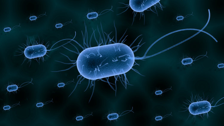 У бактерий обнаружили новый вид памяти. Фото.
