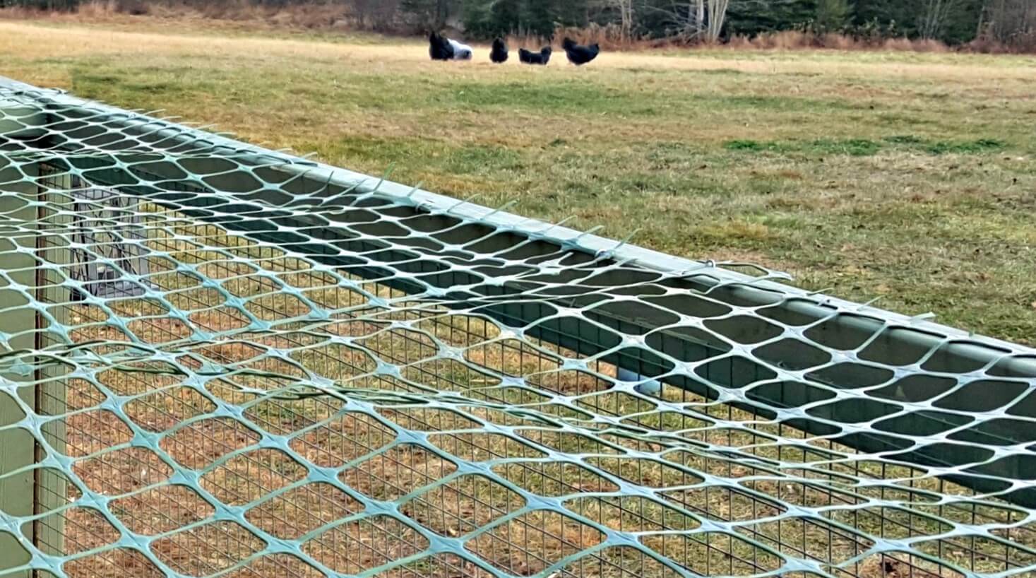 История бренда PacSafe. Фермеры помогли создать самый защищенный рюкзак. Фото.