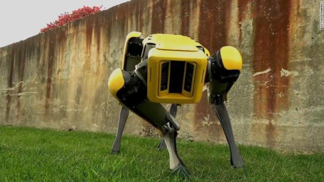 Boston Dynamics начнет продавать роботов-собак в следующем году. Фото.