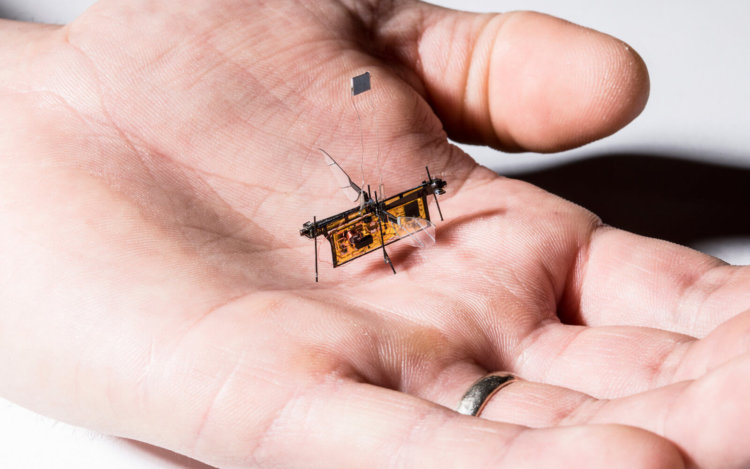 Робот-муха, которая получает энергию без проводов. Фото.