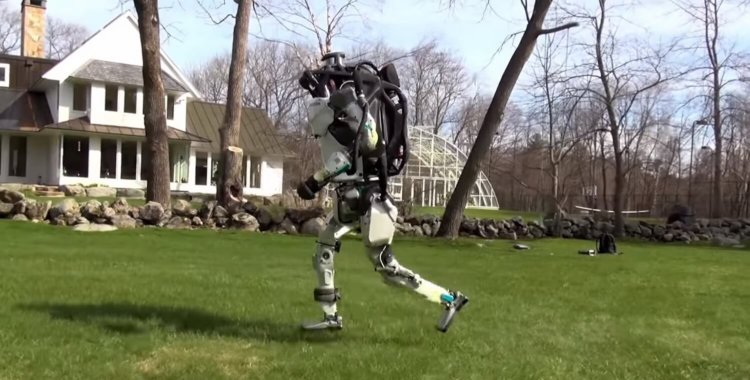 #видео дня | Роботы Atlas и SpotMini на прогулке. Фото.