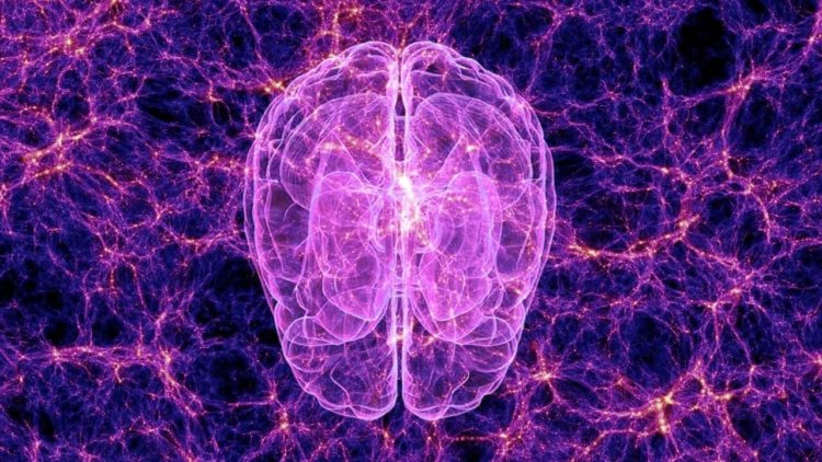 Величайшие загадки: что такое сознание? Мозг — нам еще многое предстоит о нем узнать. Фото.