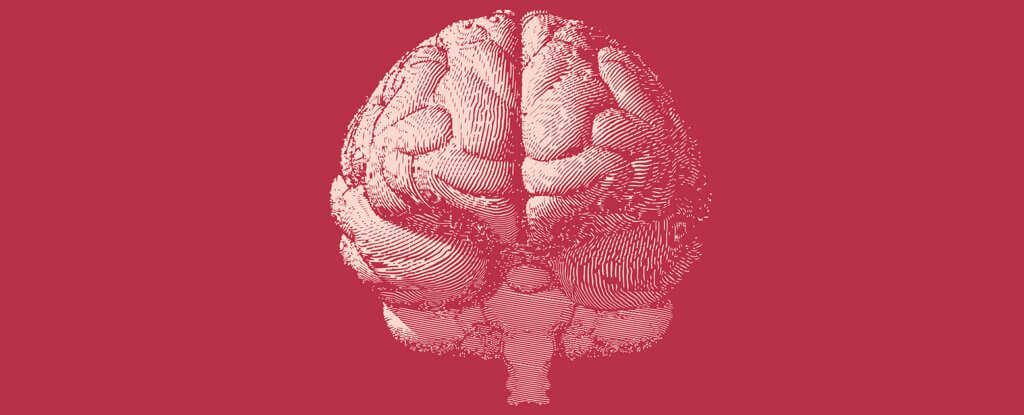 Ученые открыли почти 1000 новых генов, связанных с интеллектом. Фото.