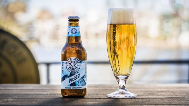Carlsberg сварили первое пиво из сточных вод. Фото.