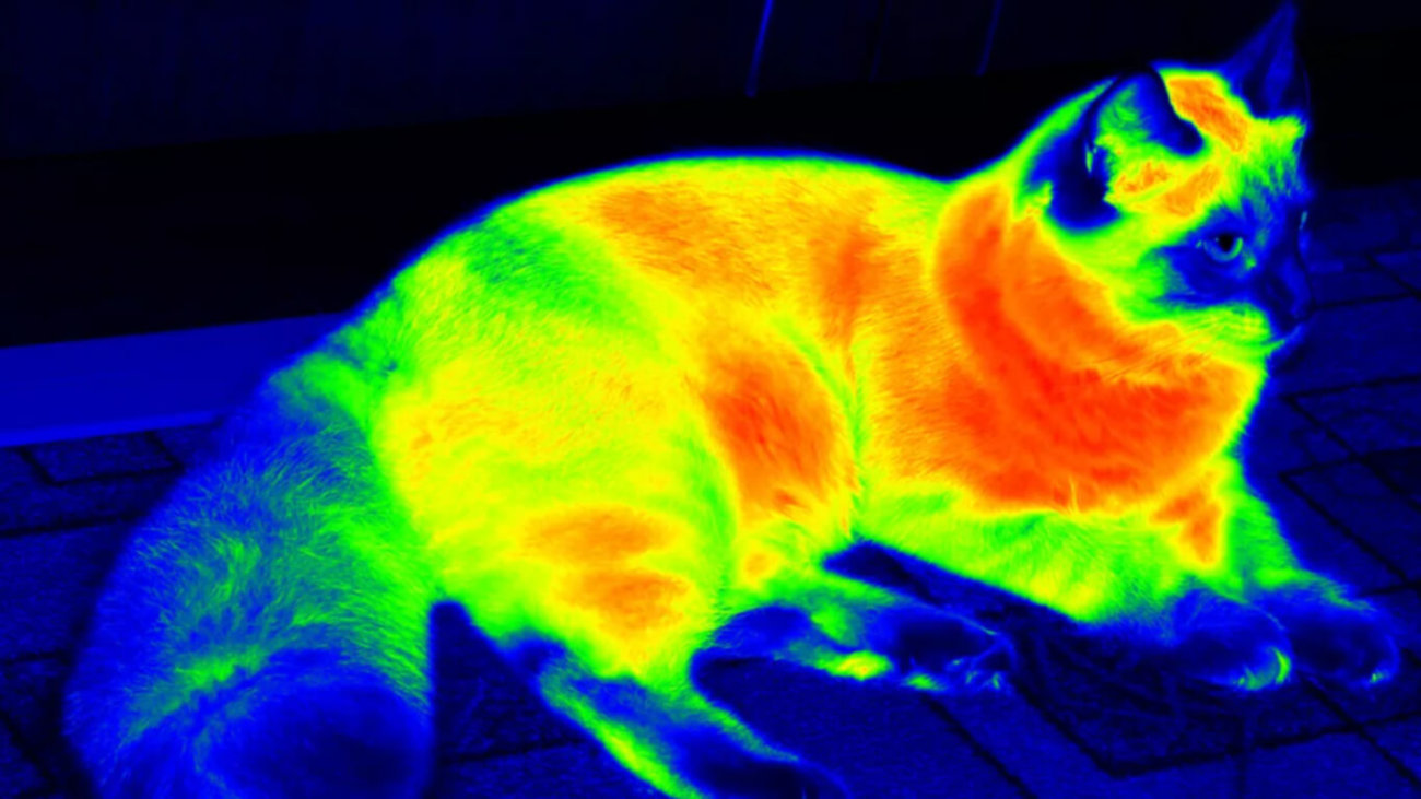 Новый метаматериал может скрыть вас от тепловизоров.. Фото.