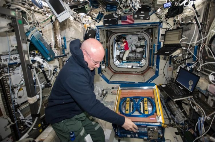 Адаптация к долгим космическим полетам. Астронавт NASA Скотт Келли работал с мышиной фермой на борту МКС в 2015 году. В рамках нового «мышиного эксперимента» будет вестись наблюдение за микробиомами грызунов. Фото.