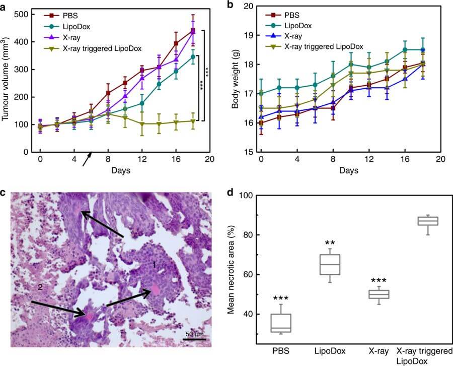 Вылечить рак поможет старый добрый рентген. Фото.