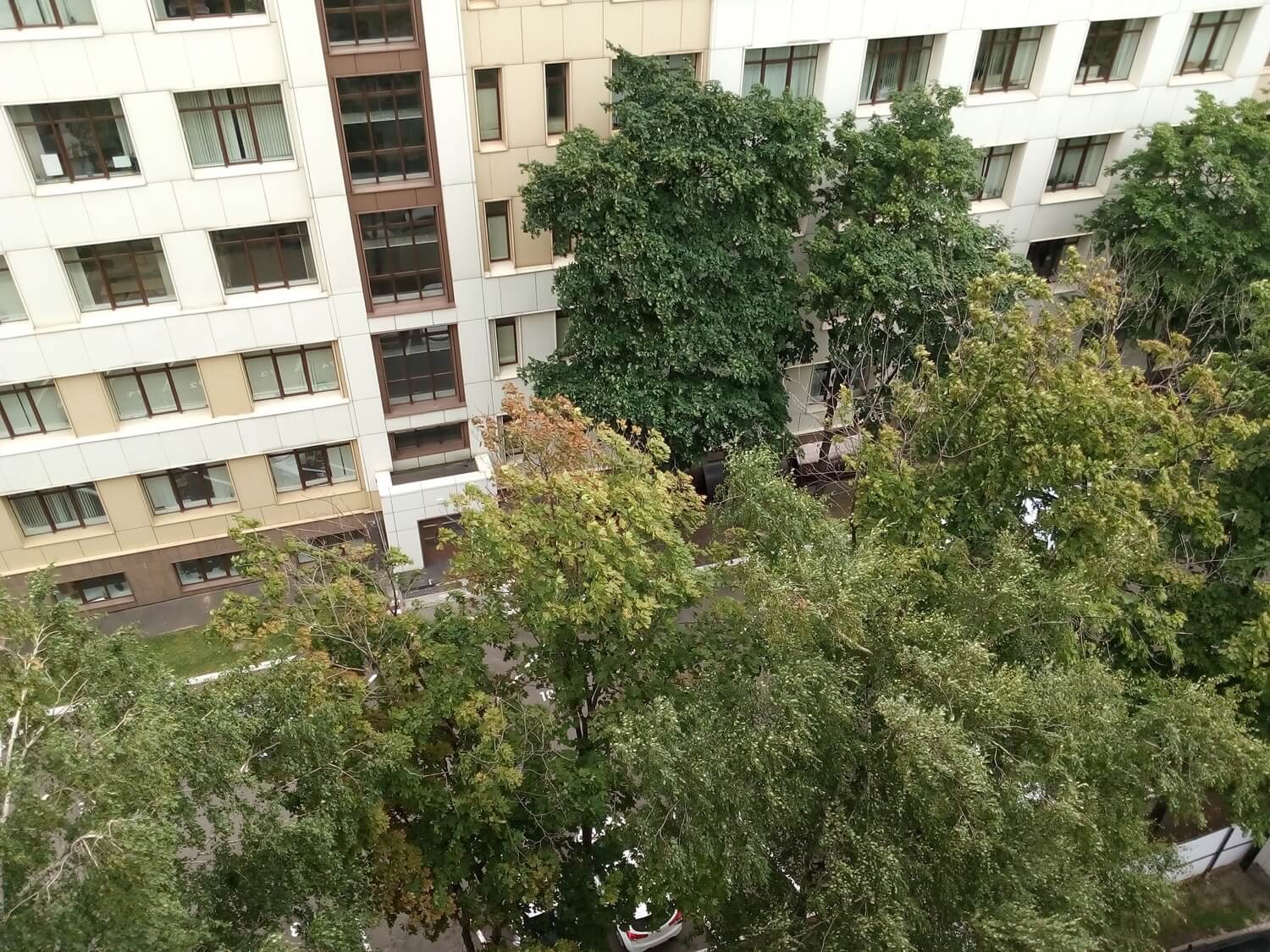 Недорогой смартфон с музыкальным потенциалом. Камера. Фото.