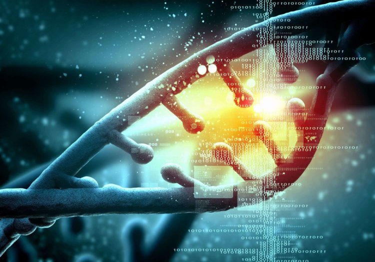 С помощью редактора генома CRISPR удалось воссоздать стадии развития меланомы. Фото.