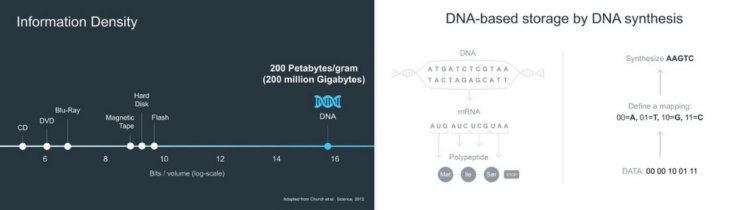 Может этим ответом является ДНК? Такая вот схема. Фото.