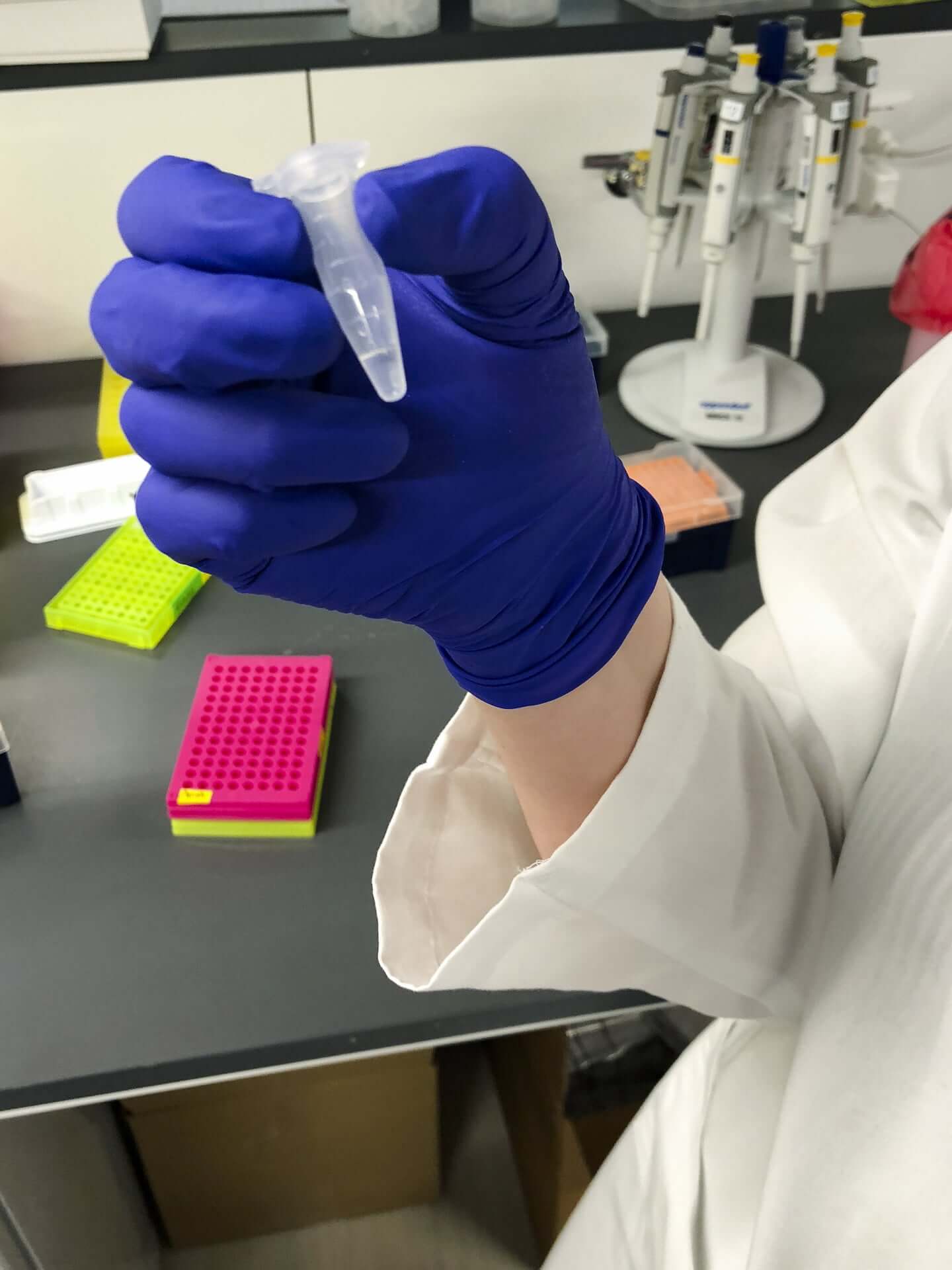 В этой пробирке содержатся миллионы копий данных, закодированных в ДНК. Фото.