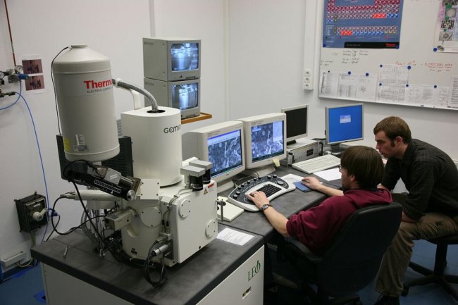 Новый электронный микроскоп позволяет увидеть атомы живых клеток. Фото.
