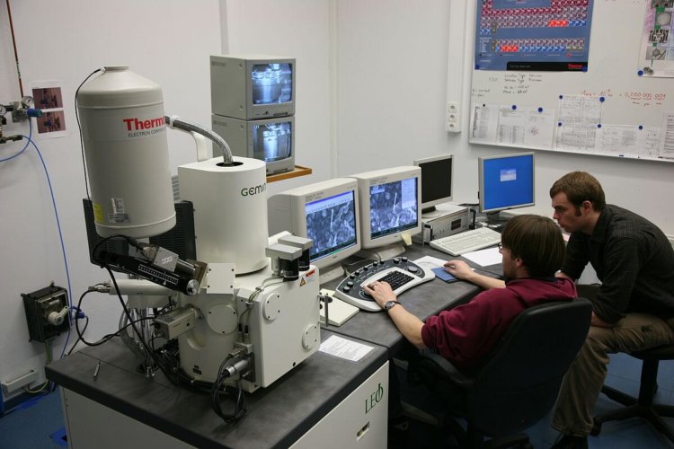 Новый электронный микроскоп позволяет увидеть атомы живых клеток. Фото.