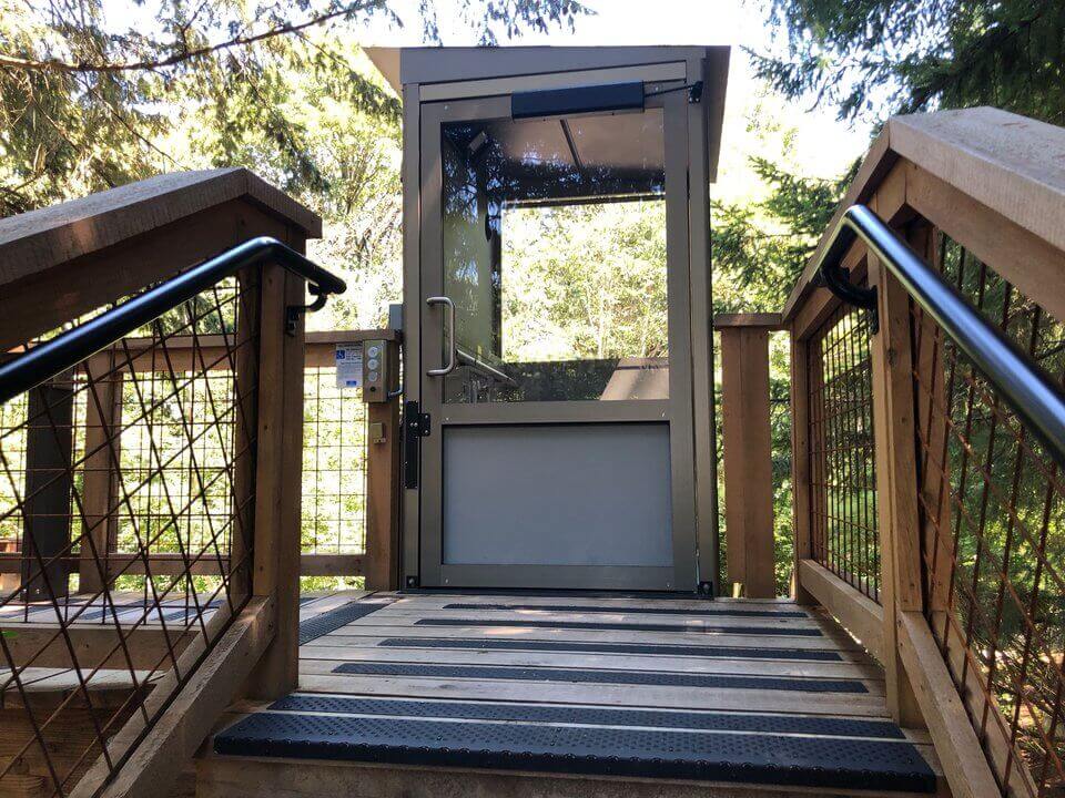 Экскурсия по домикам на деревьях, построенным компанией Microsoft.. Фото.