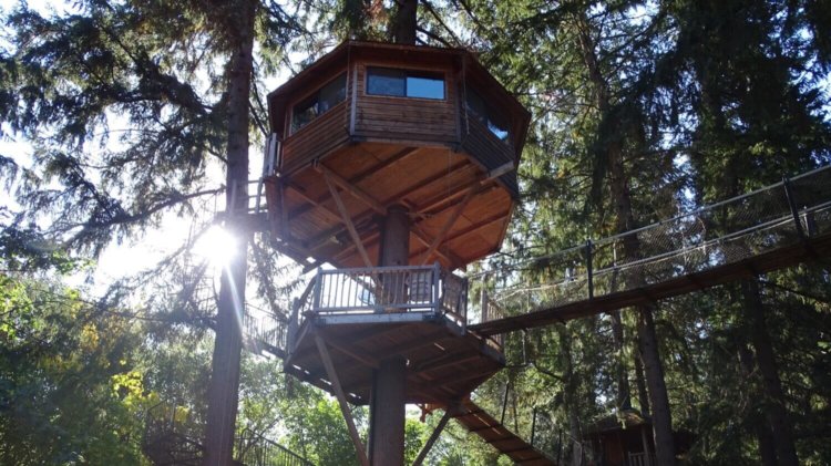 Экскурсия по домикам на деревьях, построенным компанией Microsoft. Фото.