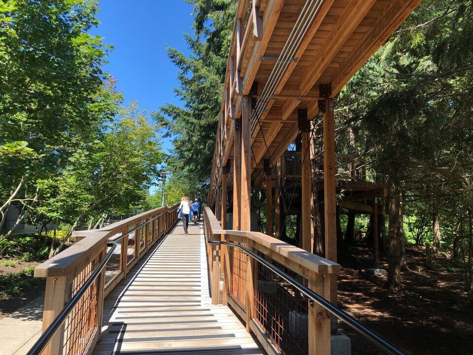 Экскурсия по домикам на деревьях, построенным компанией Microsoft.. Фото.