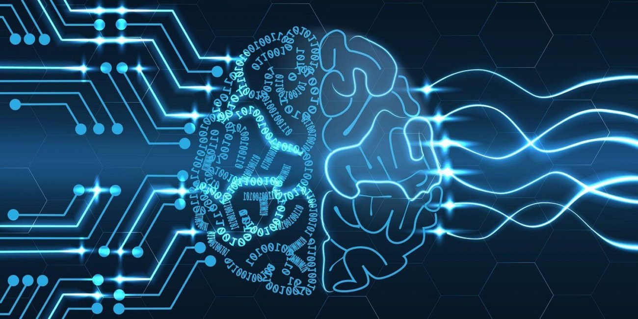 Создана нейросеть, которая имитирует строение головного мозга.. Фото.