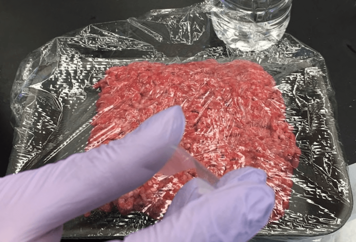 Новая упаковка позволит за секунду определить испортившиеся продукты.. Фото.